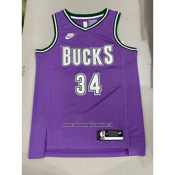 Maglia Milwaukee Bucks Giannis Antetokounmpo #34 Classic 2022-23 Viola